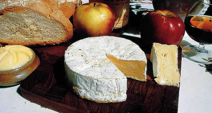 camembert