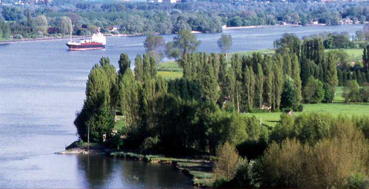 céramiste, Parc Naturel des Boucles de la Seine, Normande