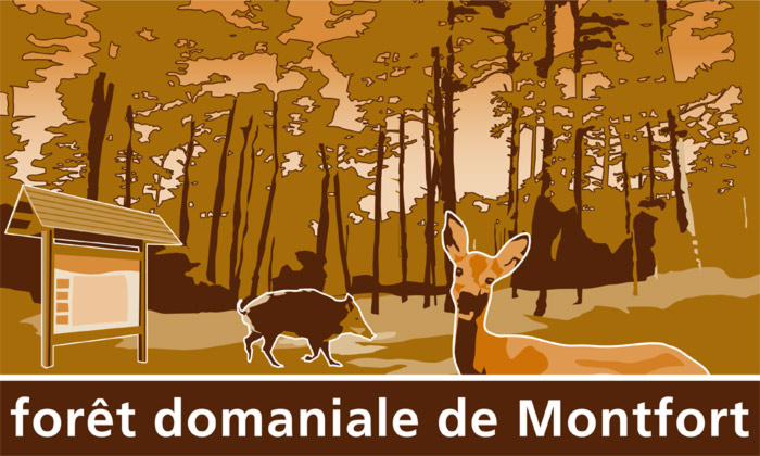 Forêt domaniale de Montfort