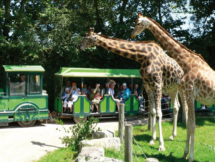 parc zoologique cerza