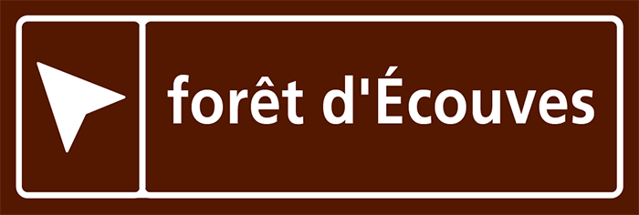 The Ecouves forest