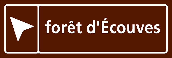 Forêt d'Ecouves